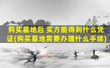 购买墓地后 买方能得到什么凭证(购买墓地需要办理什么手续)